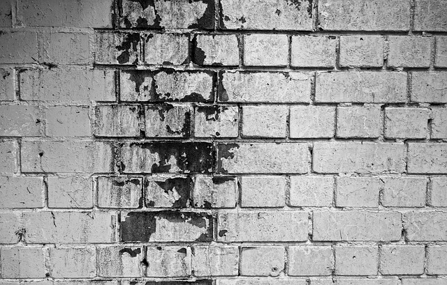 Professional Mold Remediation